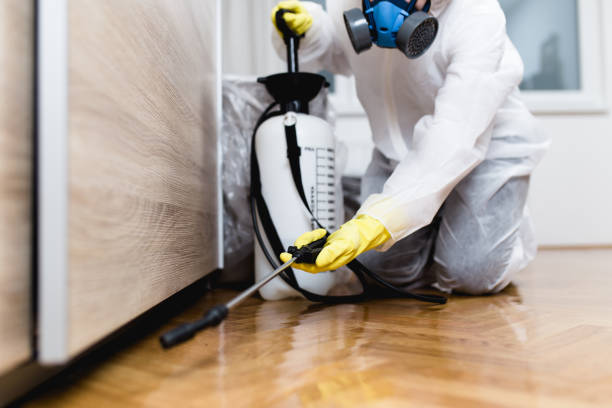 Best Commercial Pest Control Services  in Payne, OH