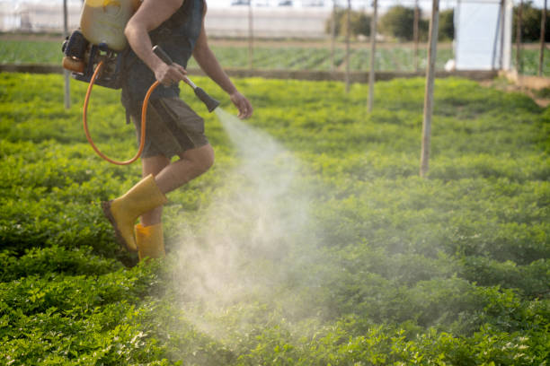 Best Local Pest Control Services  in Payne, OH