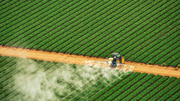 Professional Pest Control in Payne, OH