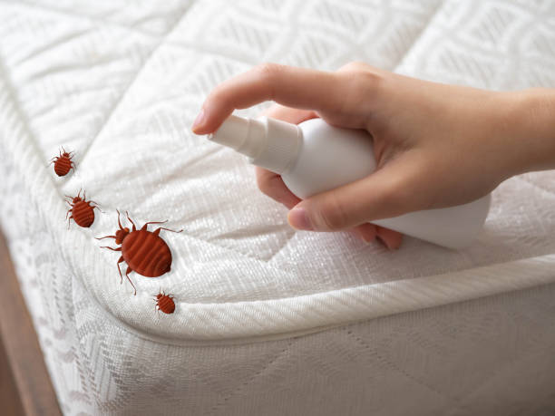 Pest Prevention Services in Payne, OH