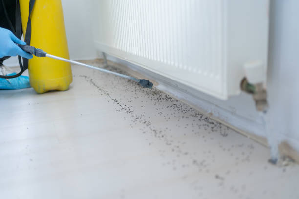 Best Emergency Pest Control  in Payne, OH